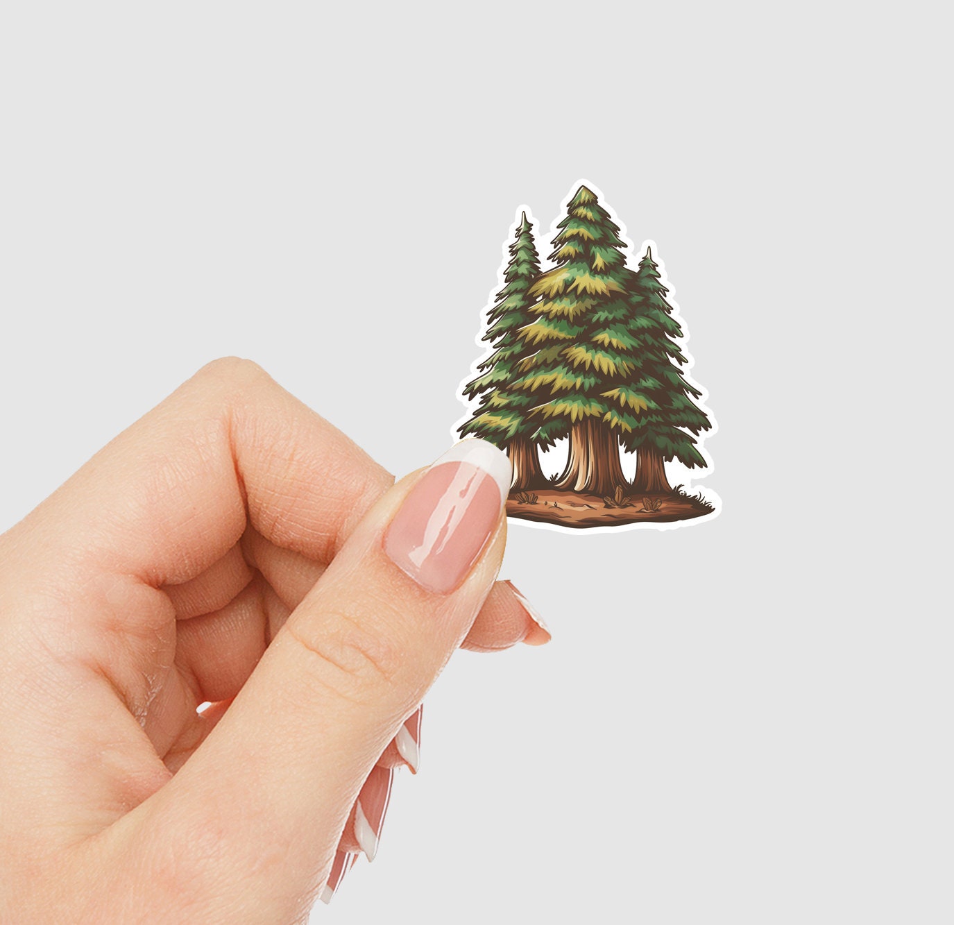 Trio of Redwood Trees Vinyl Sticker | Sticker Lodge