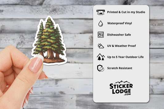 Redwood Evergreen Forest Vinyl Sticker | Sticker Lodge