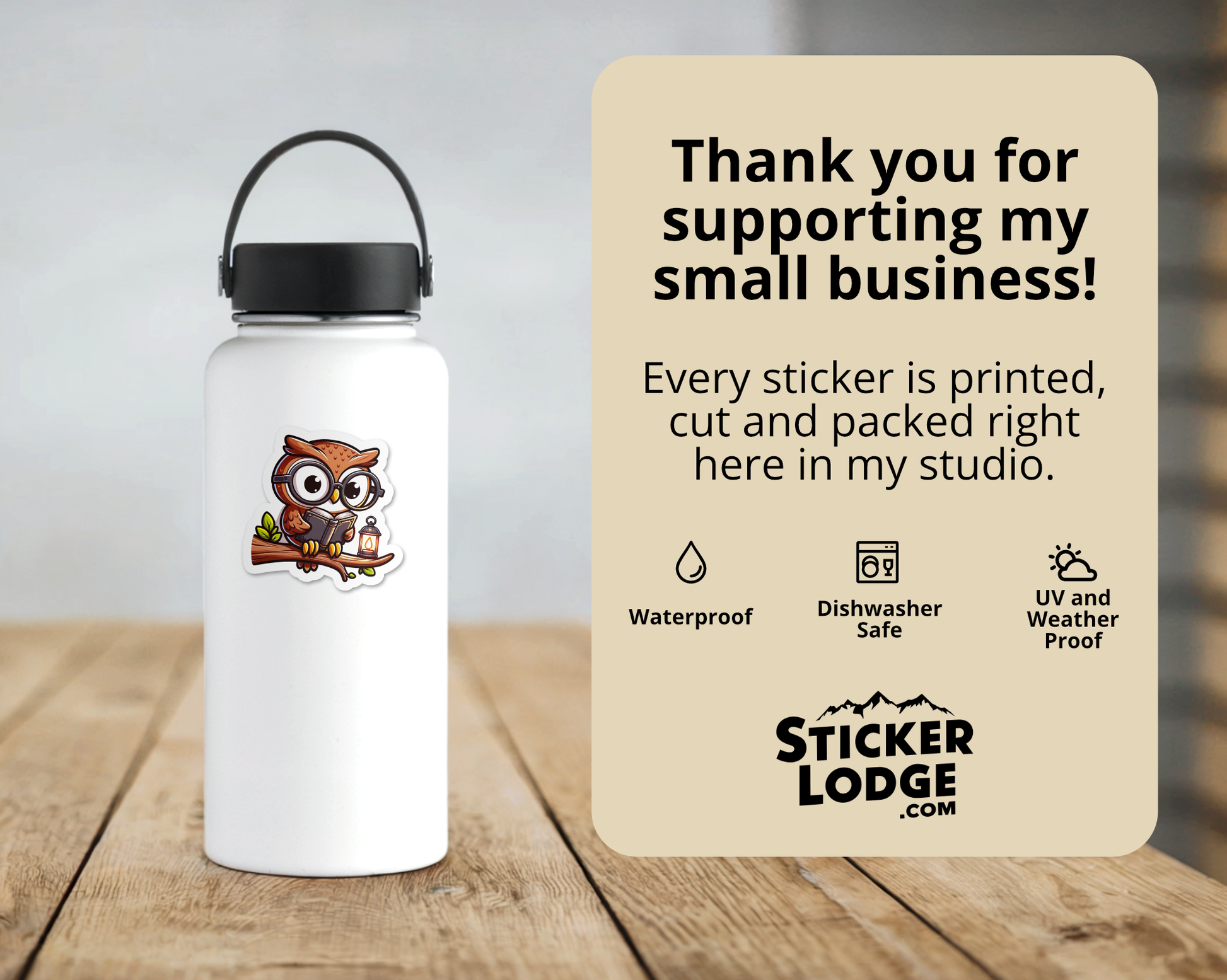 Owl Reading a Book Vinyl Sticker | Sticker Lodge