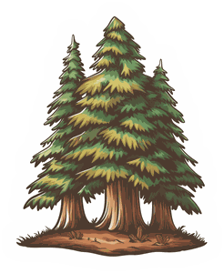 Redwood Evergreen Forest sticker