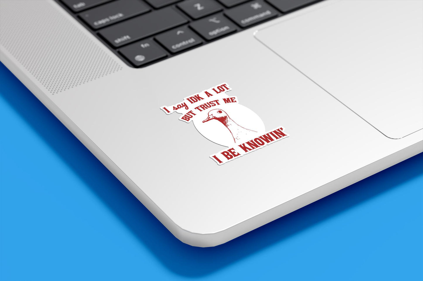I Say IDK A Lot But Trust Me I Be Knowing Vinyl Sticker | Sticker Lodge