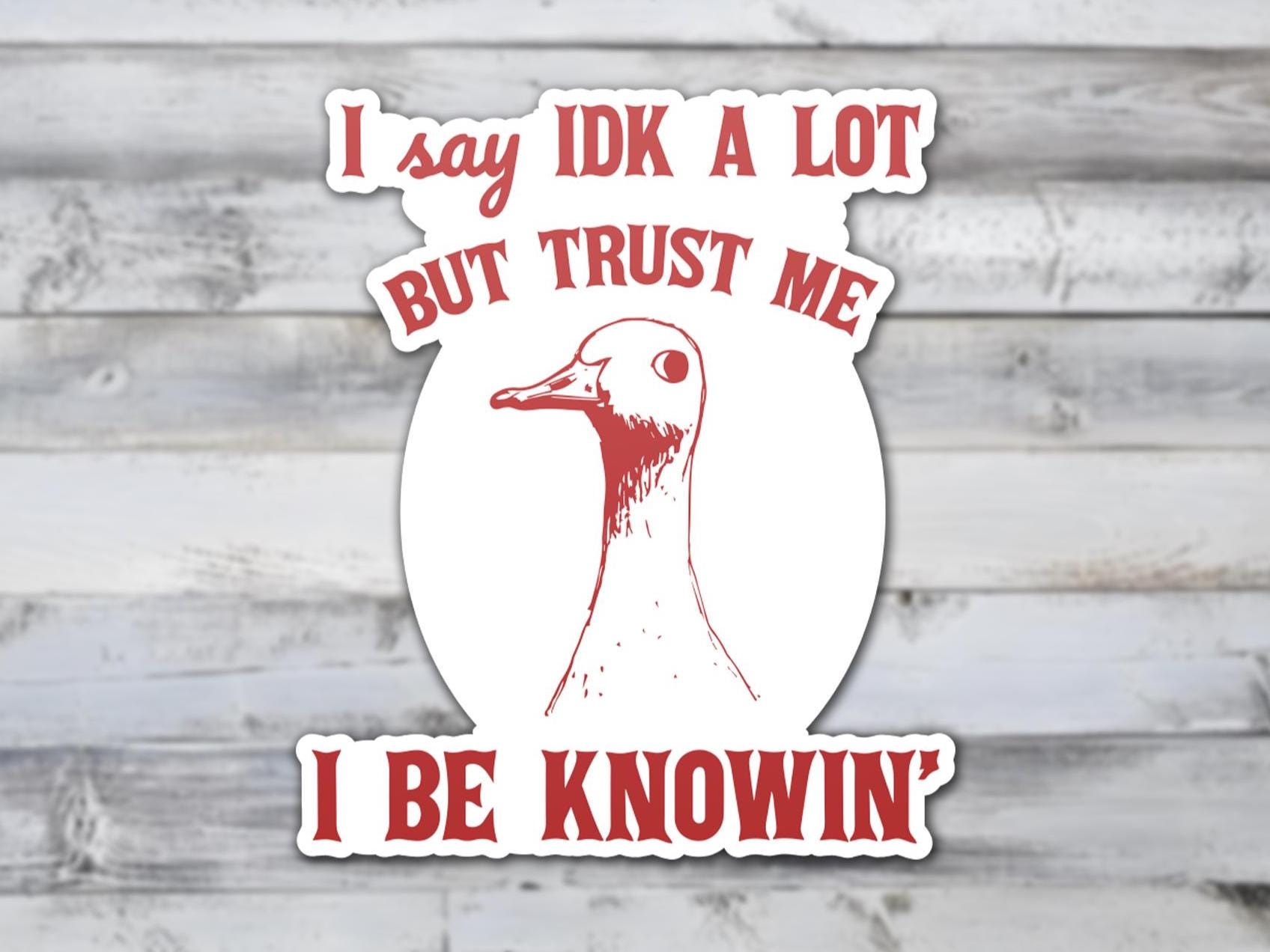 I Say IDK A Lot But Trust Me I Be Knowing Vinyl Sticker | Sticker Lodge