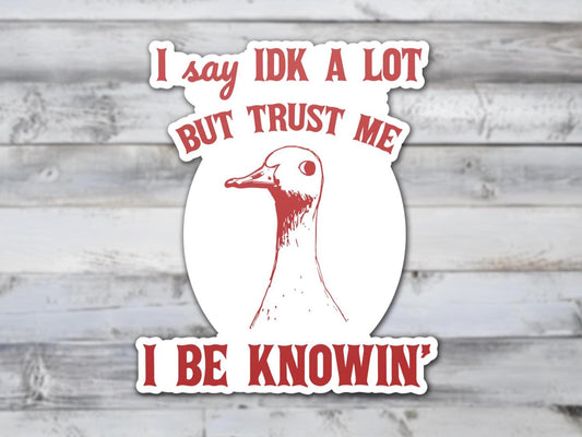 I Say IDK A Lot But Trust Me I Be Knowing Vinyl Sticker | Sticker Lodge