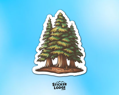 Redwood Evergreen Forest Vinyl Sticker | Sticker Lodge