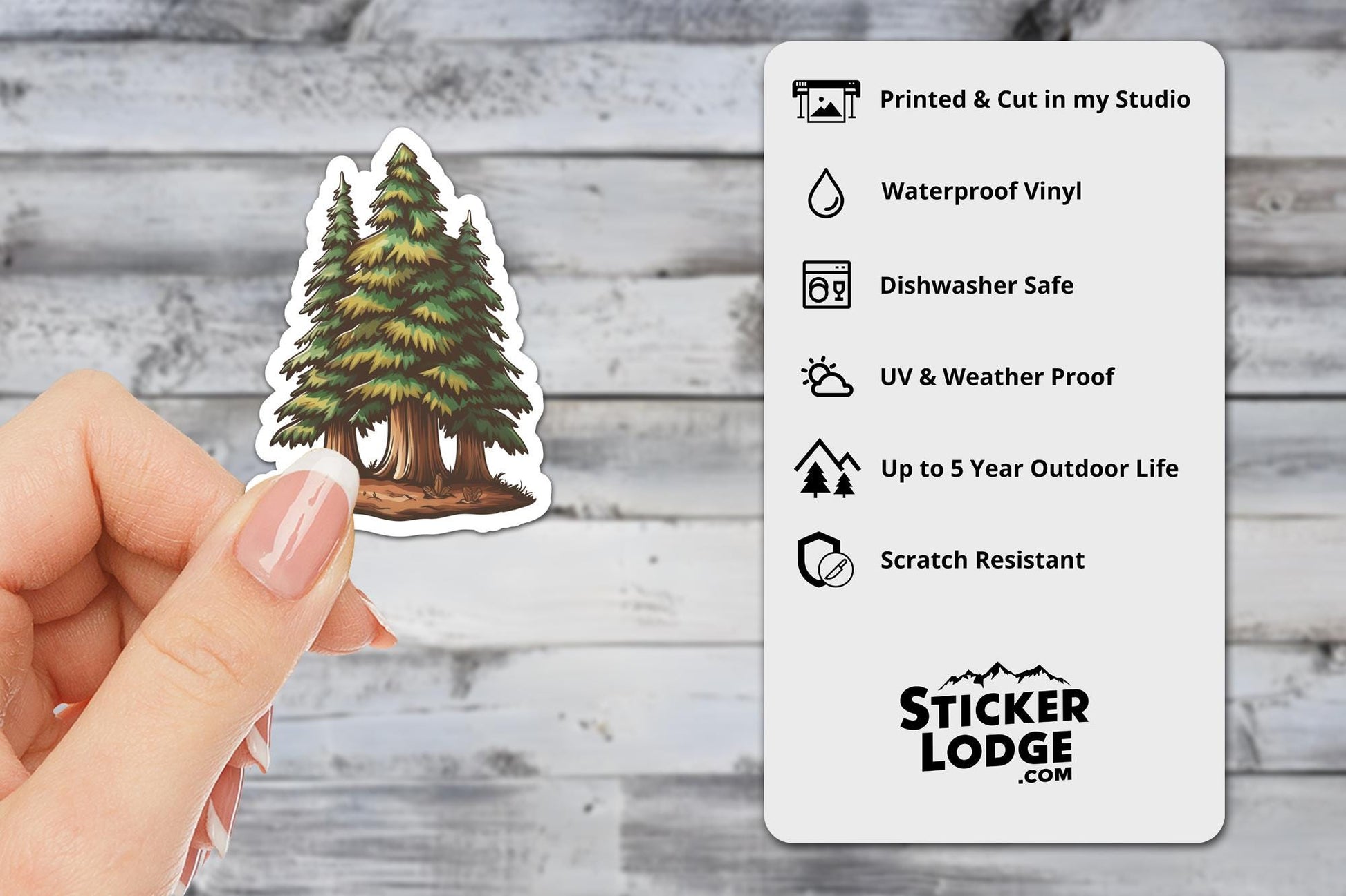 Redwood Evergreen Forest Vinyl Sticker | Sticker Lodge