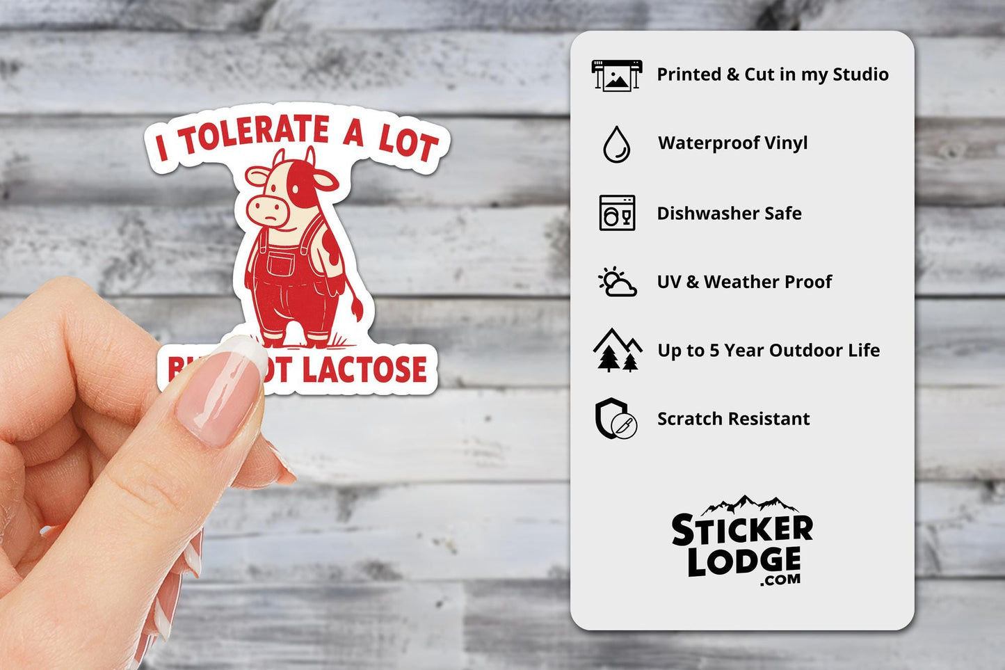 I Tolerate A Lot But Not Lactose Vinyl Sticker | Sticker Lodge