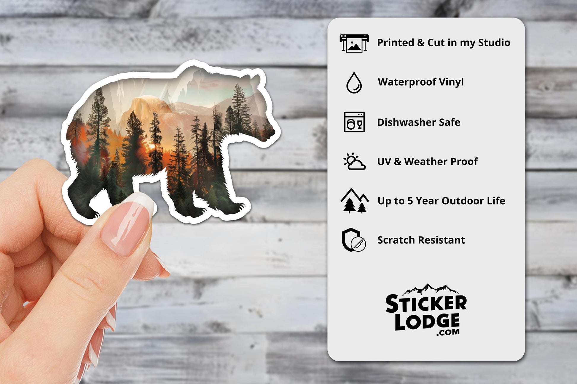 Bear and Forest Nature Silhouette Double Exposure Vinyl Sticker | Sticker Lodge