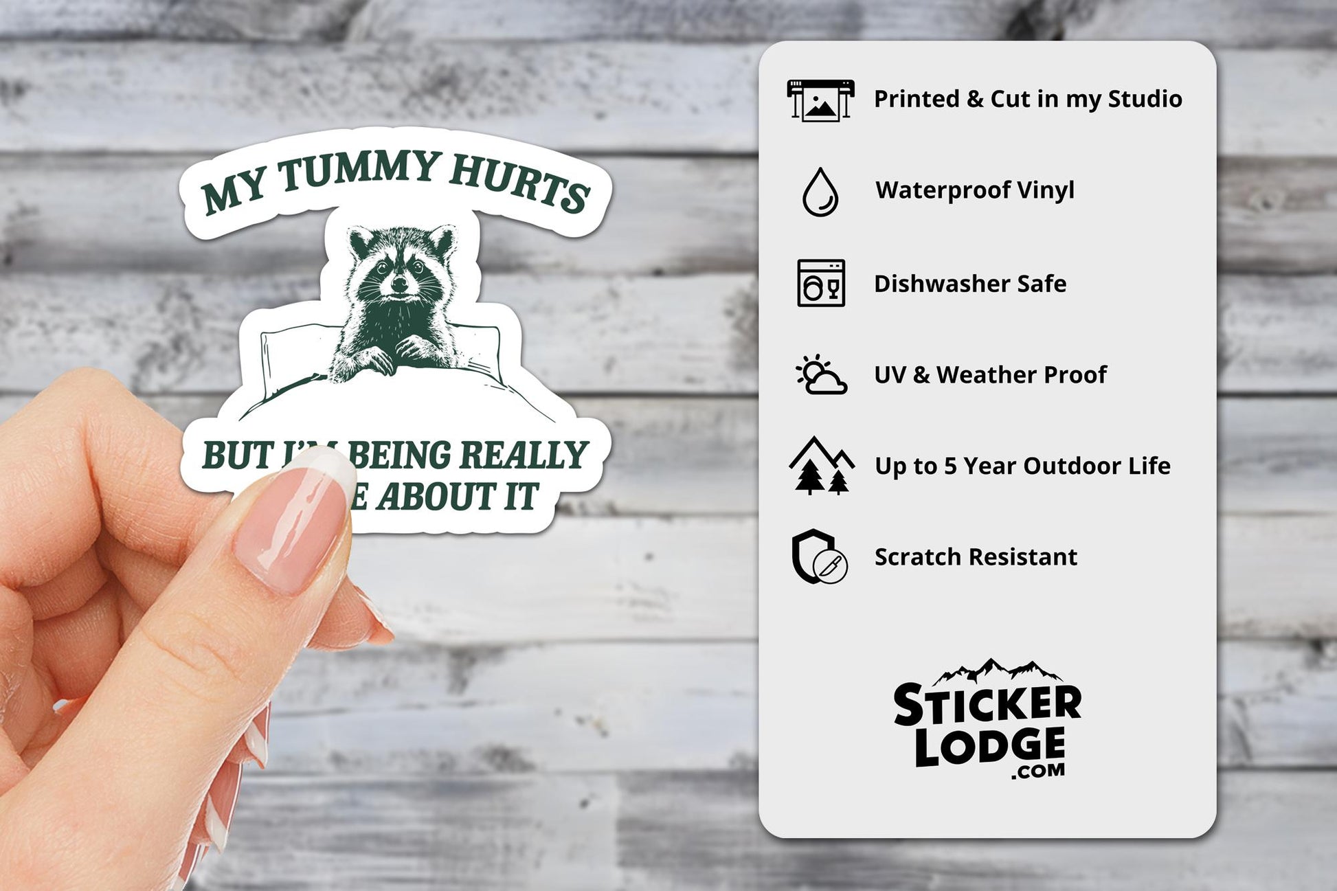My Tummy Hurts Raccoon Vinyl Sticker | Sticker Lodge