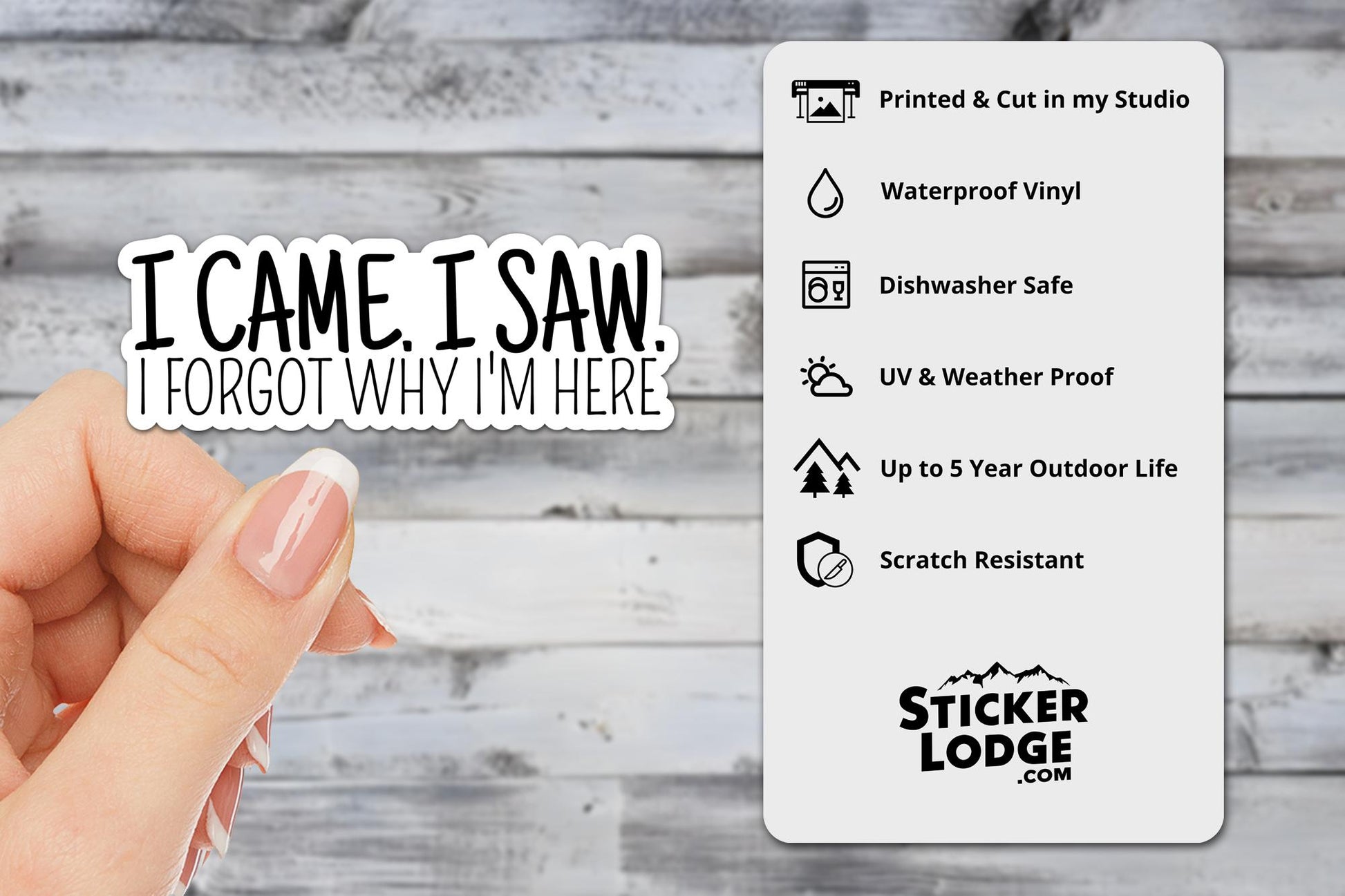 I Came, I Saw, I Forgot Why I'm Here Vinyl Sticker | Sticker Lodge